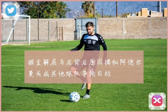 掘金解雇马龙背后原因揭秘阿德尔曼或成其他球队争抢目标