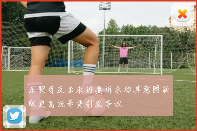 东契奇反击未婚妻诉求称其意图获取更高抚养费引发争议