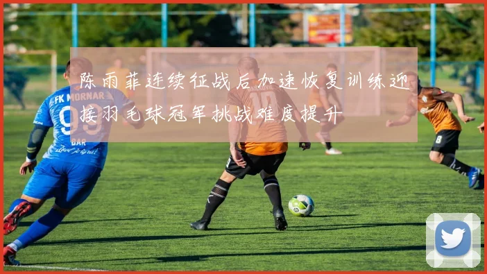 陈雨菲连续征战后加速恢复训练迎接羽毛球冠军挑战难度提升