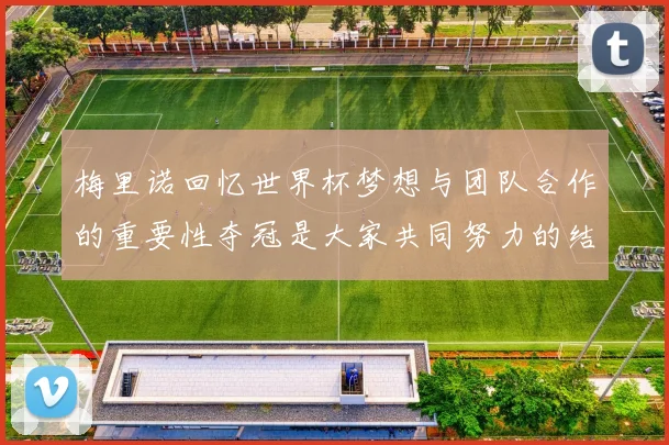 梅里诺回忆世界杯梦想与团队合作的重要性夺冠是大家共同努力的结果